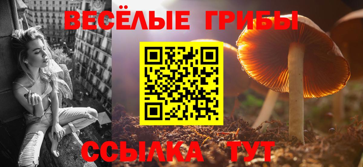 Галлюциногенные грибы Cubensis Красноармейск
